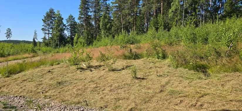 Tomt, Älgåna 1:72, Årjäng