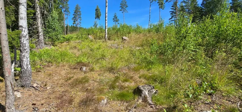 Tomt, Älgåna 1:72, Årjäng