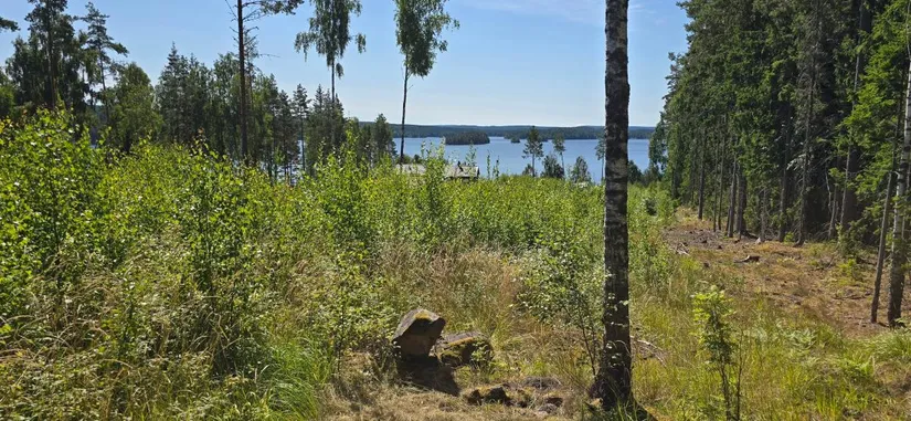 Tomt, Älgåna 1:72, Årjäng