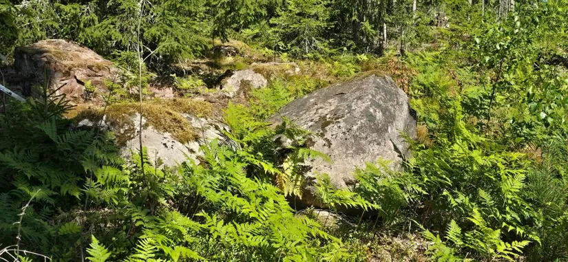 Tomt, Älgåna 1:72, Årjäng