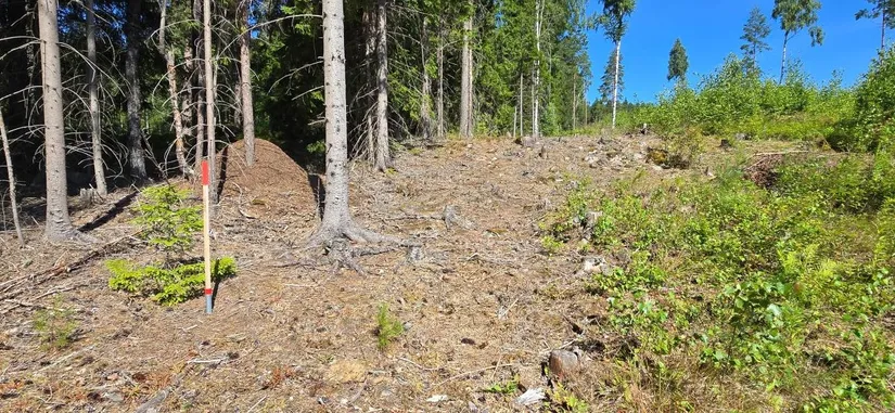 Tomt, Älgåna 1:72, Årjäng