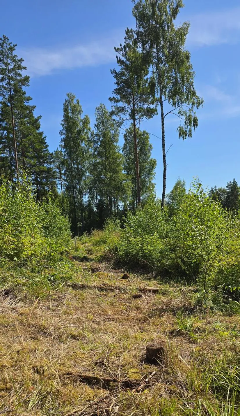 Tomt, Älgåna 1:72, Årjäng