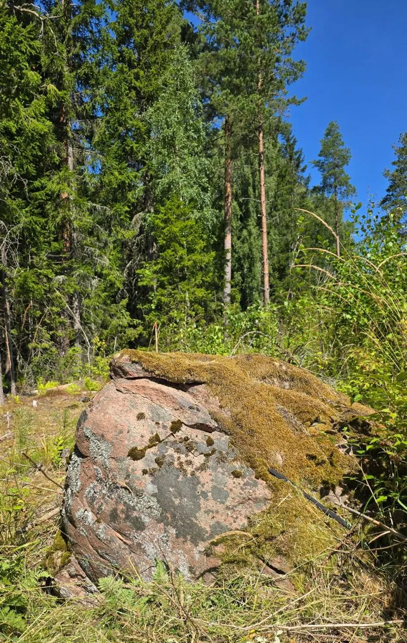 Tomt, Älgåna 1:72, Årjäng