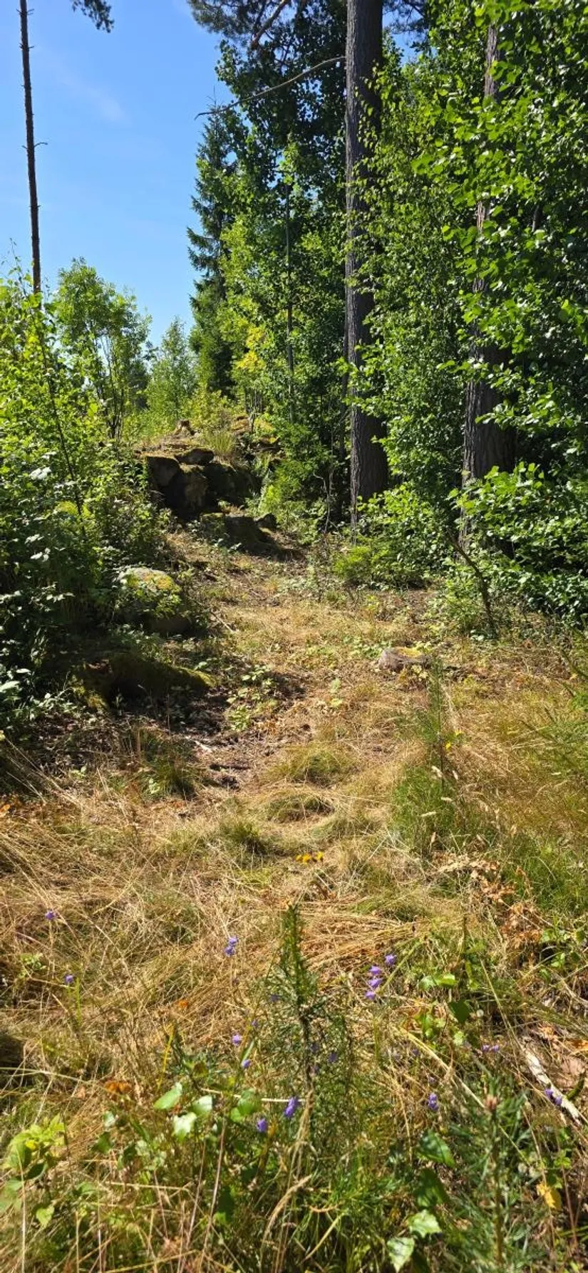 Tomt, Älgåna 1:72, Årjäng