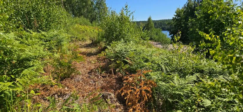 Tomt, Älgåna 1:72, Årjäng