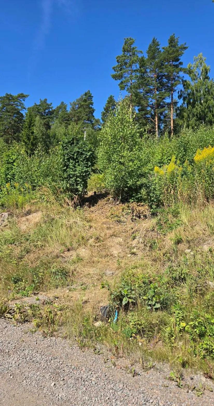Tomt, Älgåna 1:72, Årjäng