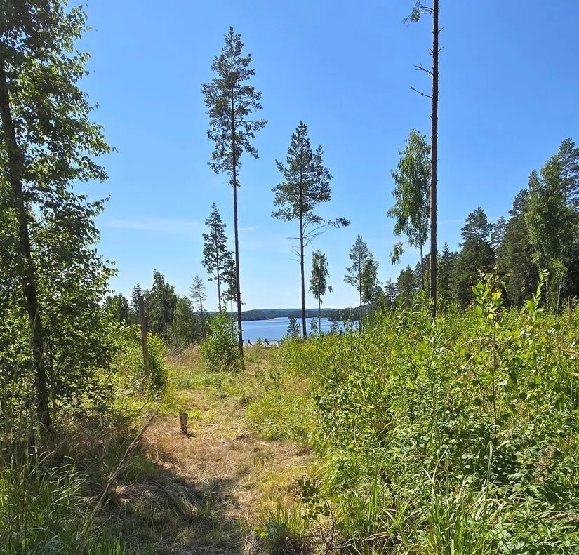 Tomt, Älgåna 1:72, Årjäng