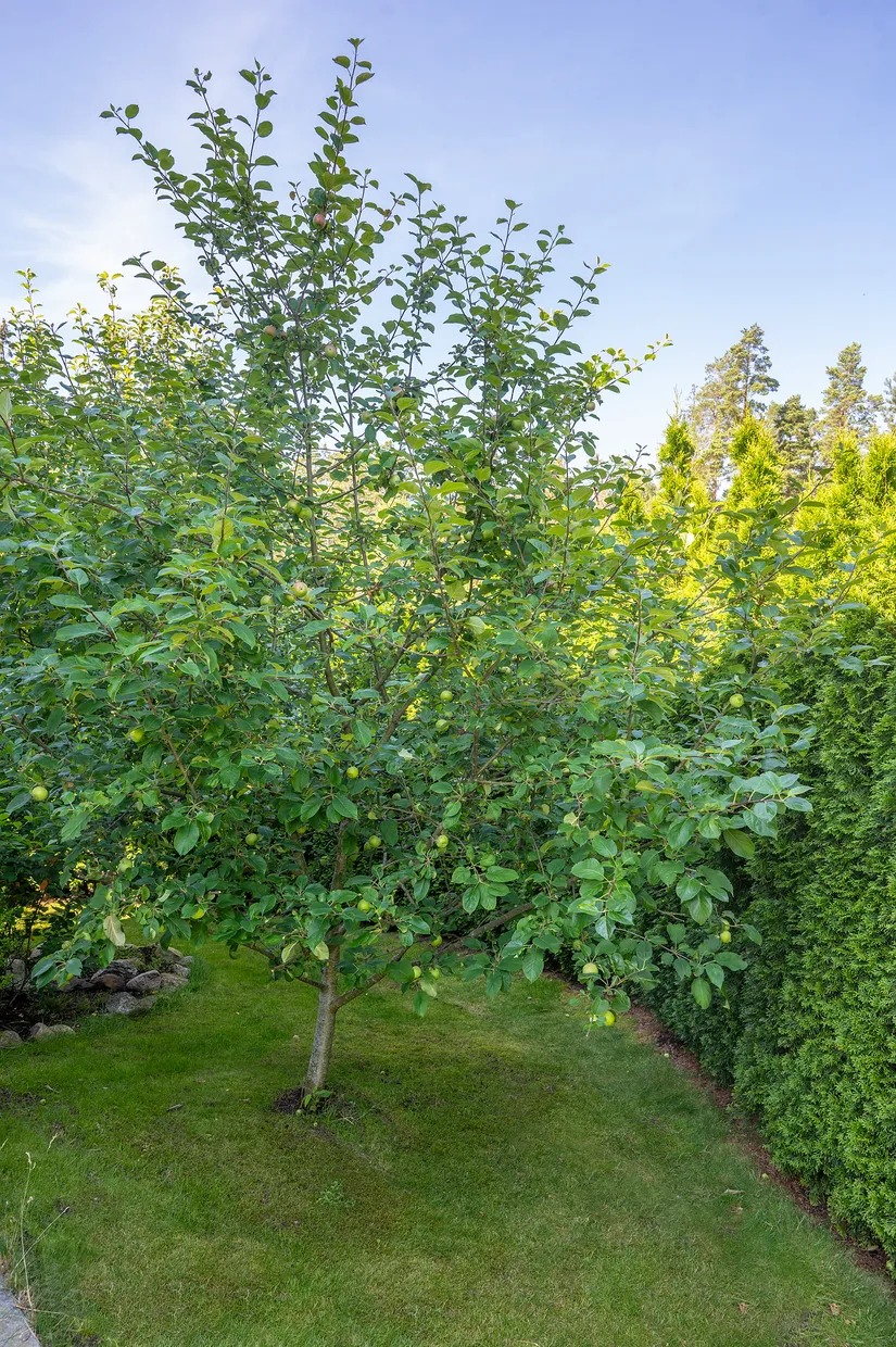 Villa, Hällmarkshöjden 31, Västra Balingsnäs, Huddinge