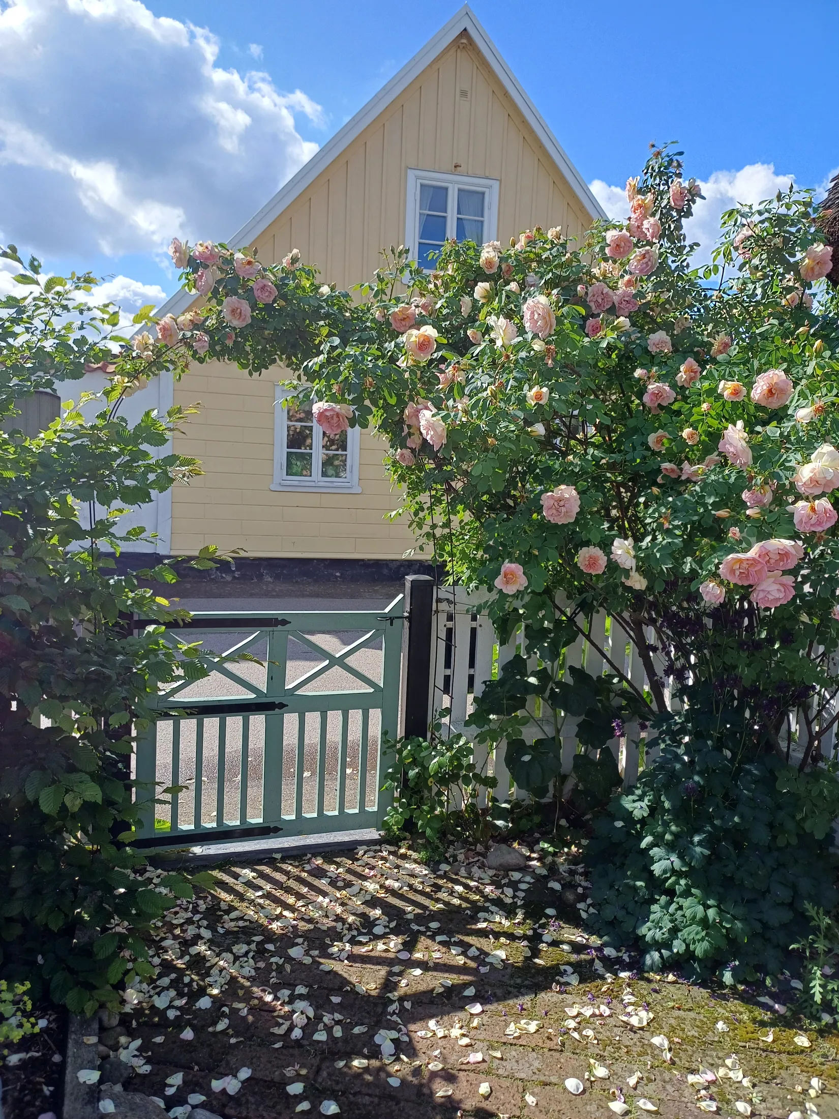 Bostadsrätt, Bygatan 3, Gamla Viken-Havs nära, Höganäs