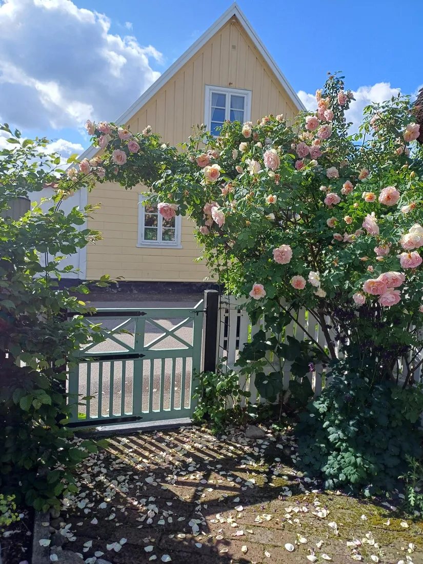 Bostadsrätt, Bygatan 3, Gamla Viken-Havs nära, Höganäs