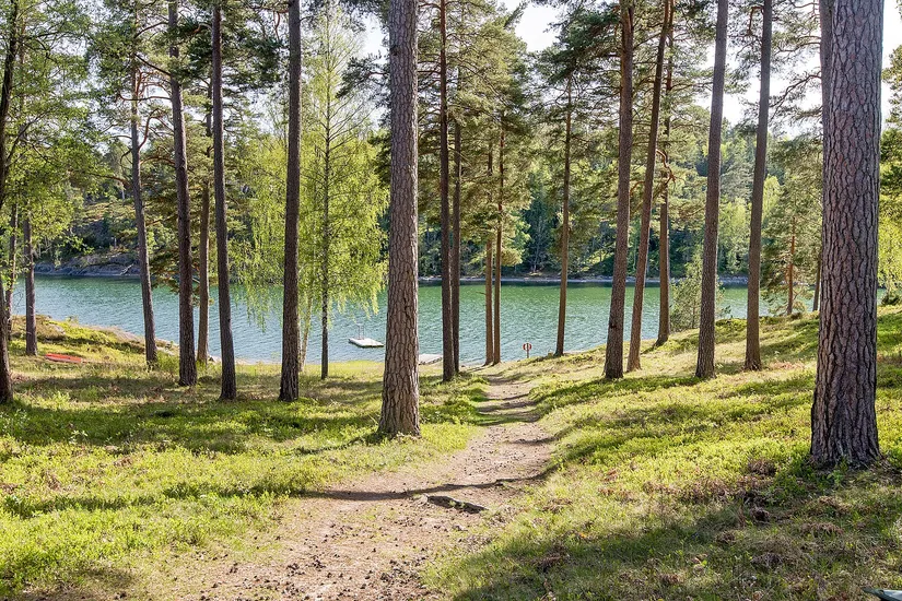 Tomt, Tranarövägen 24, Ingarö - Barnviksnäs, Värmdö