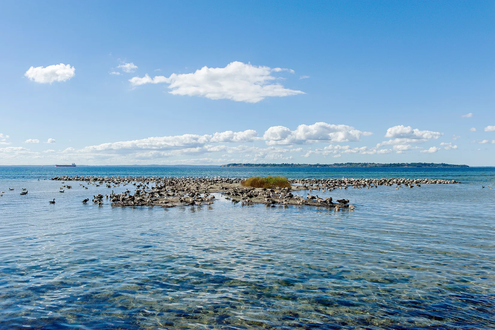 Radhus, Golfrundan 34, Borstahusen, Landskrona