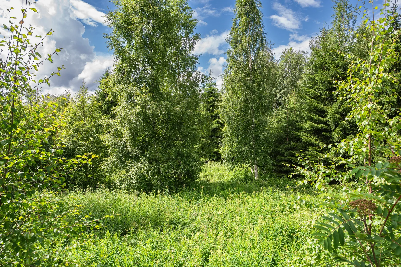 Tomt, ÅNGE OVANSJÖ 1:442, Ånge