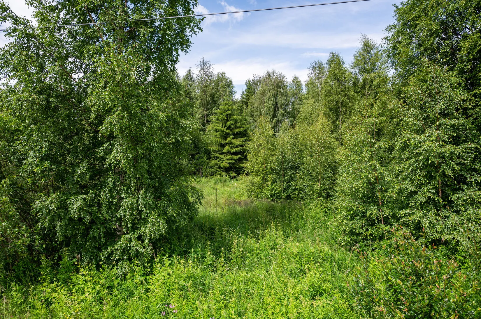 Tomt, ÅNGE OVANSJÖ 1:442, Ånge