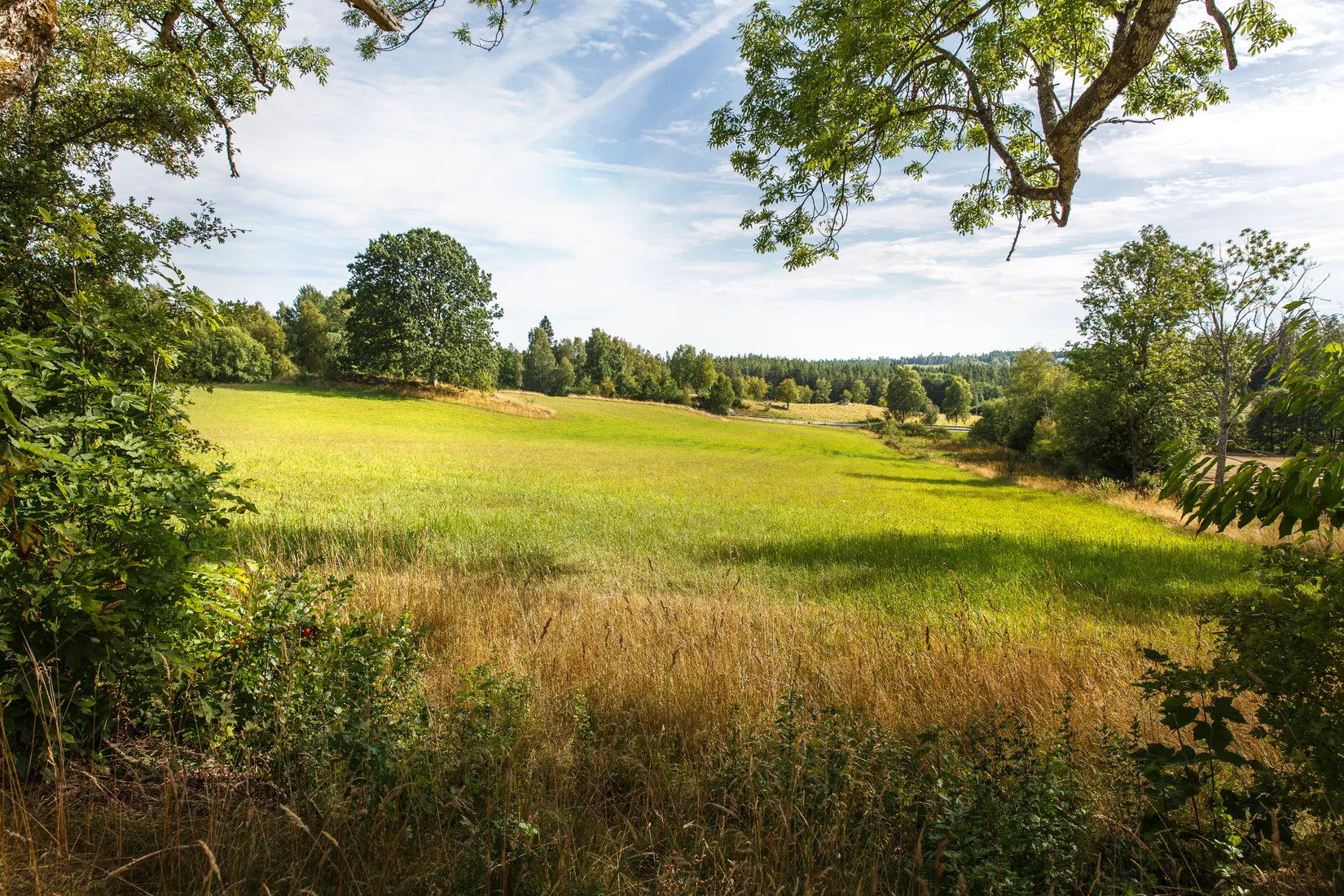 Gård/Skog, Käringagärde 10, Gnosjö