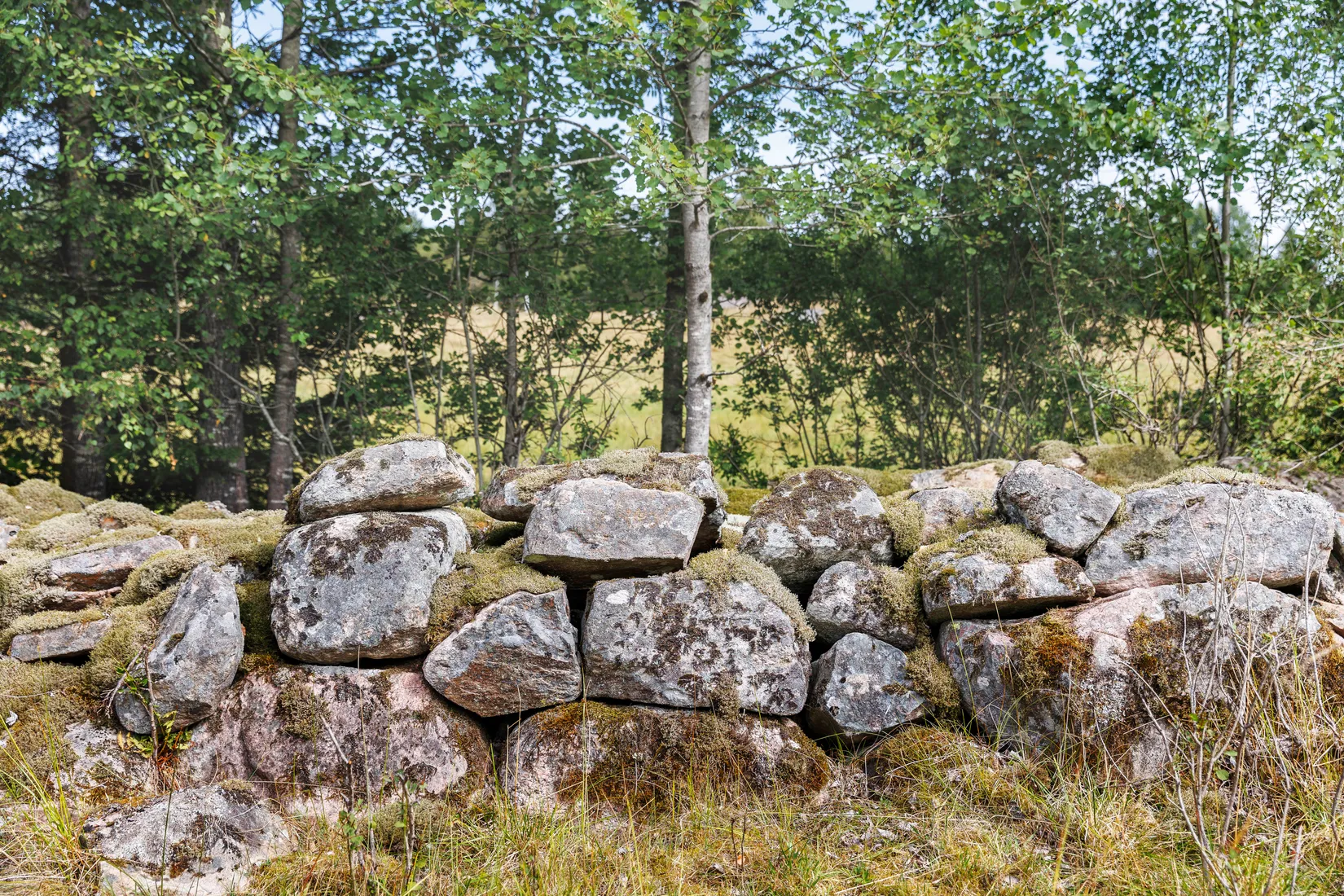 Gård/Skog, Käringagärde 10, Gnosjö