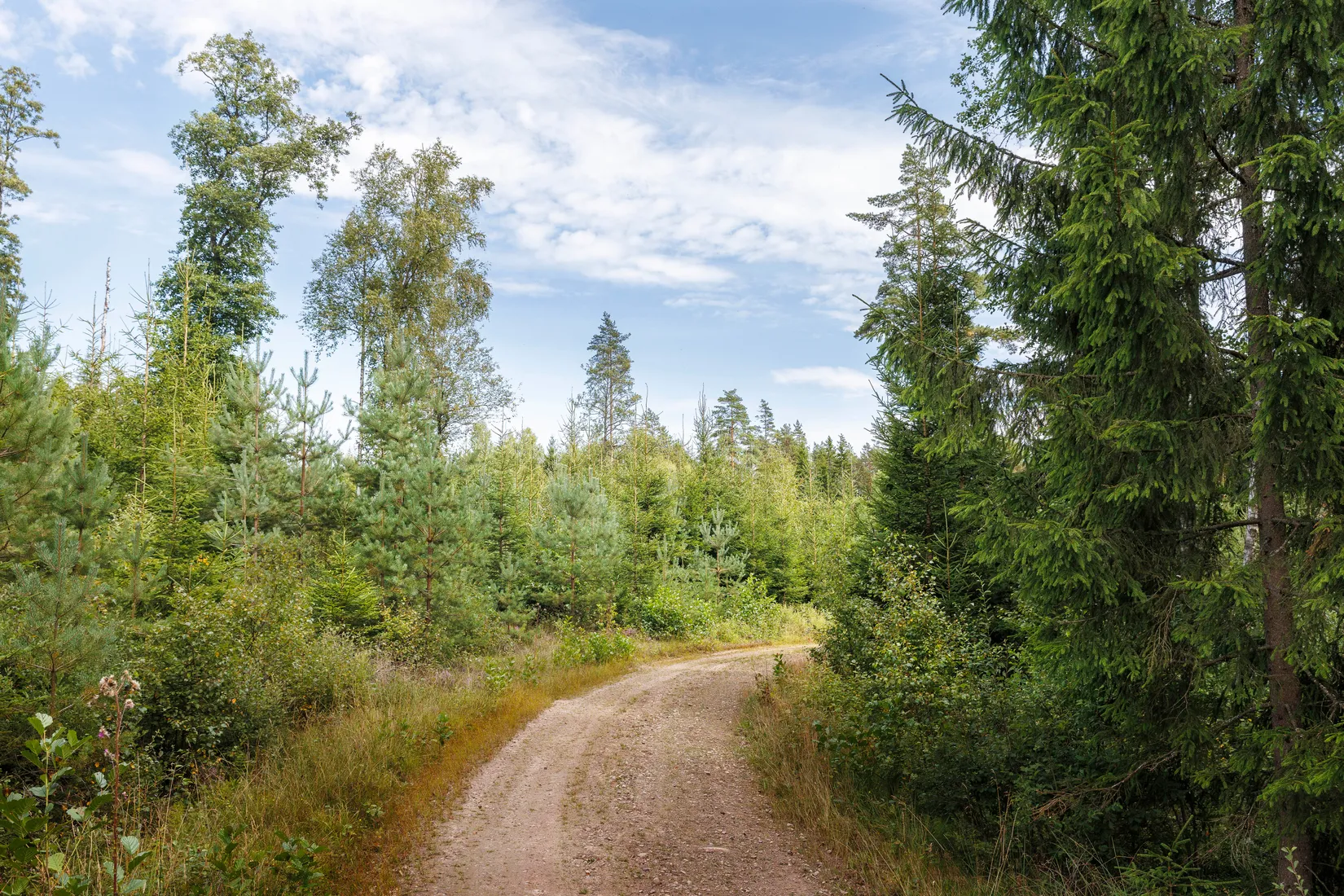 Gård/Skog, Käringagärde 10, Gnosjö