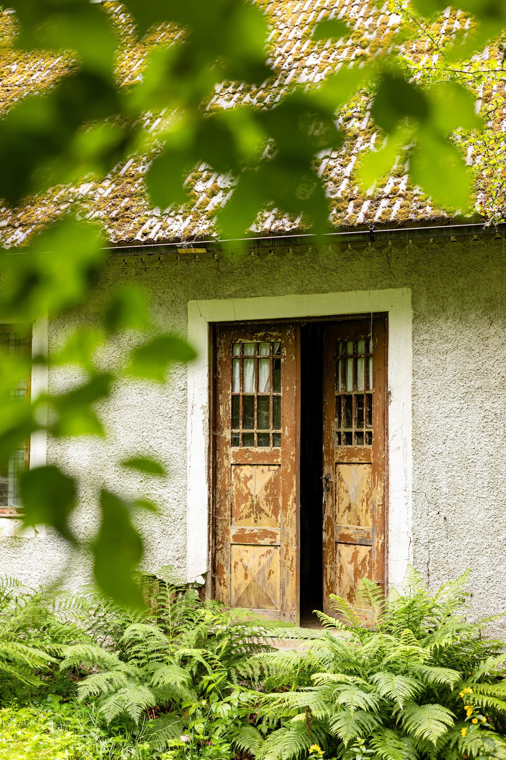 Villa, Törsbo 202, Törsbo, Emmaboda
