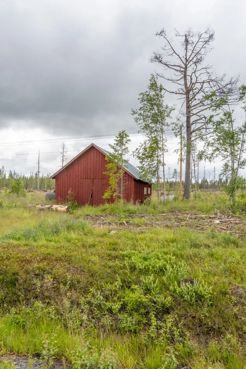 Gård/Skog, Västra Lainejaur 22 & 47, Lainejaur, Malå