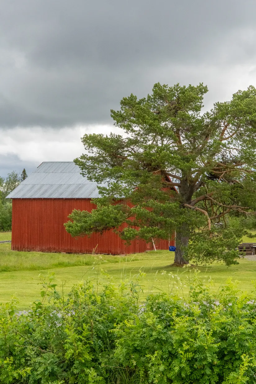 Gård/Skog, Västra Lainejaur 22 & 47, Lainejaur, Malå