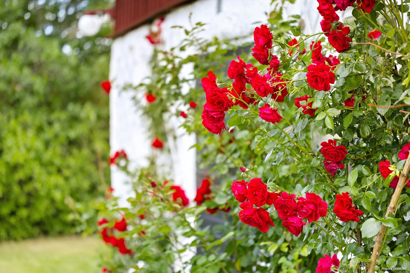 Villa, Buttle Lilla Velinge 192, Buttle -Mellersta Gotland, Gotland