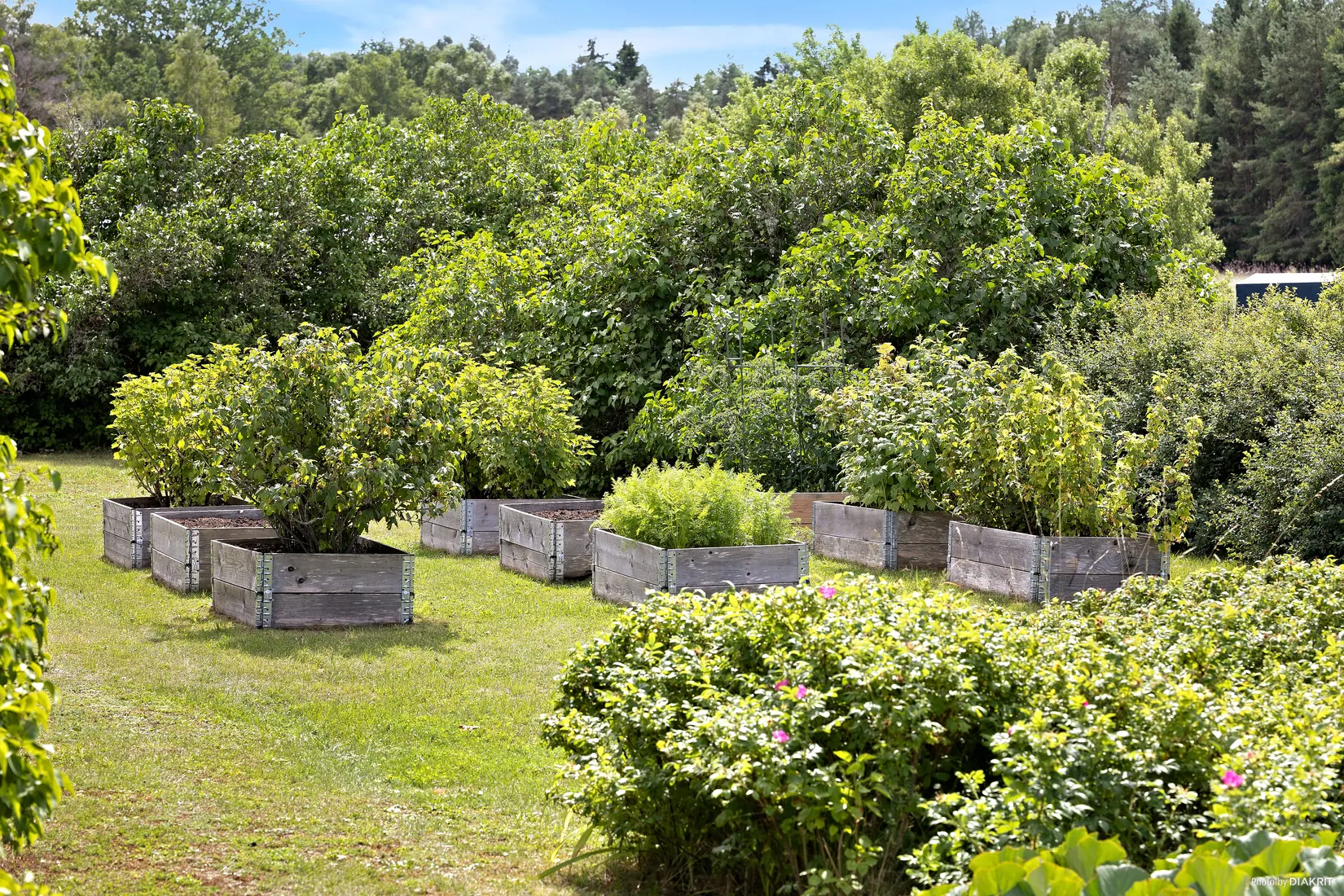 Villa, Buttle Lilla Velinge 192, Buttle -Mellersta Gotland, Gotland