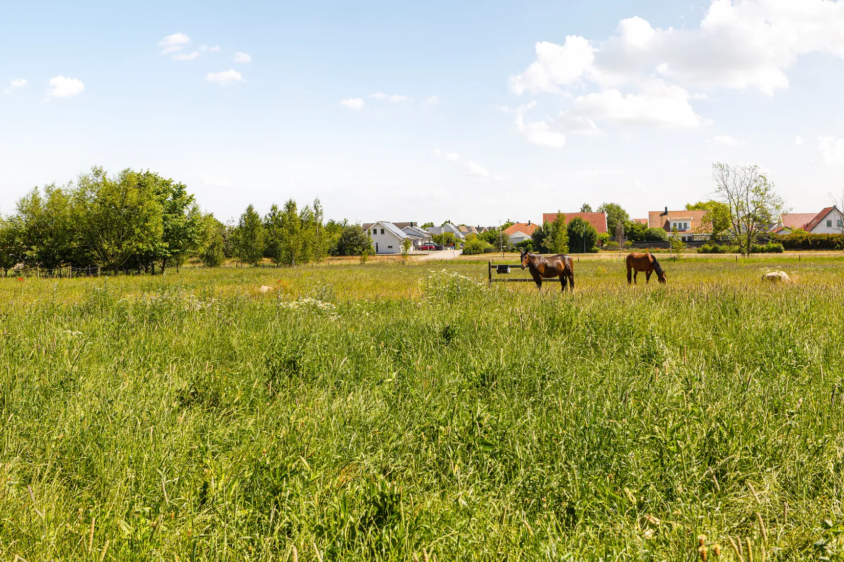 Gård/Skog, Södra Torvängsvägen 18, Skegrie, Trelleborg