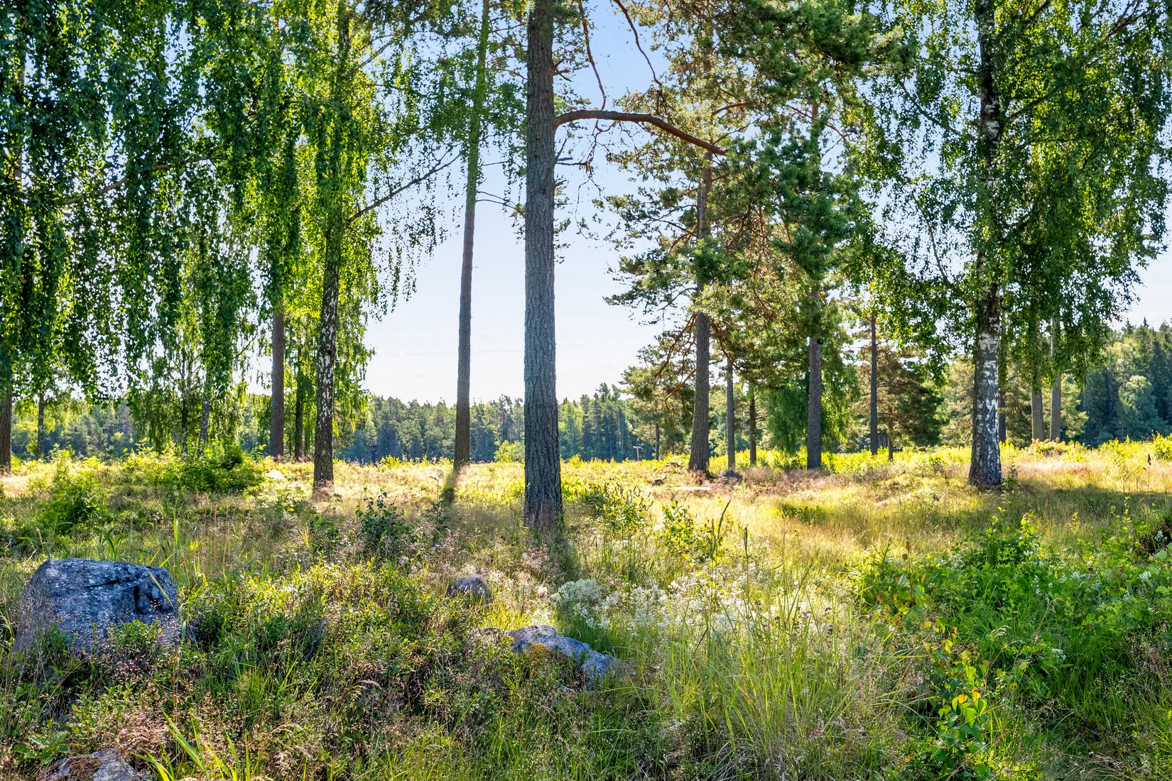 Villa, Ängskär Strandvägen 10, Tierp