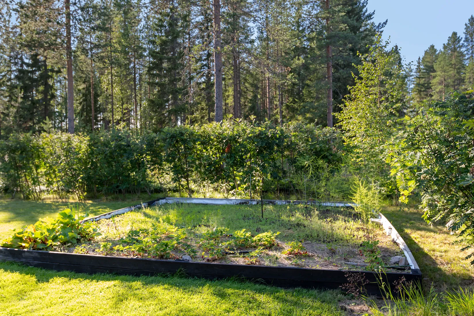Fritidshus, Rickleå 330, Rickleå, Robertsfors