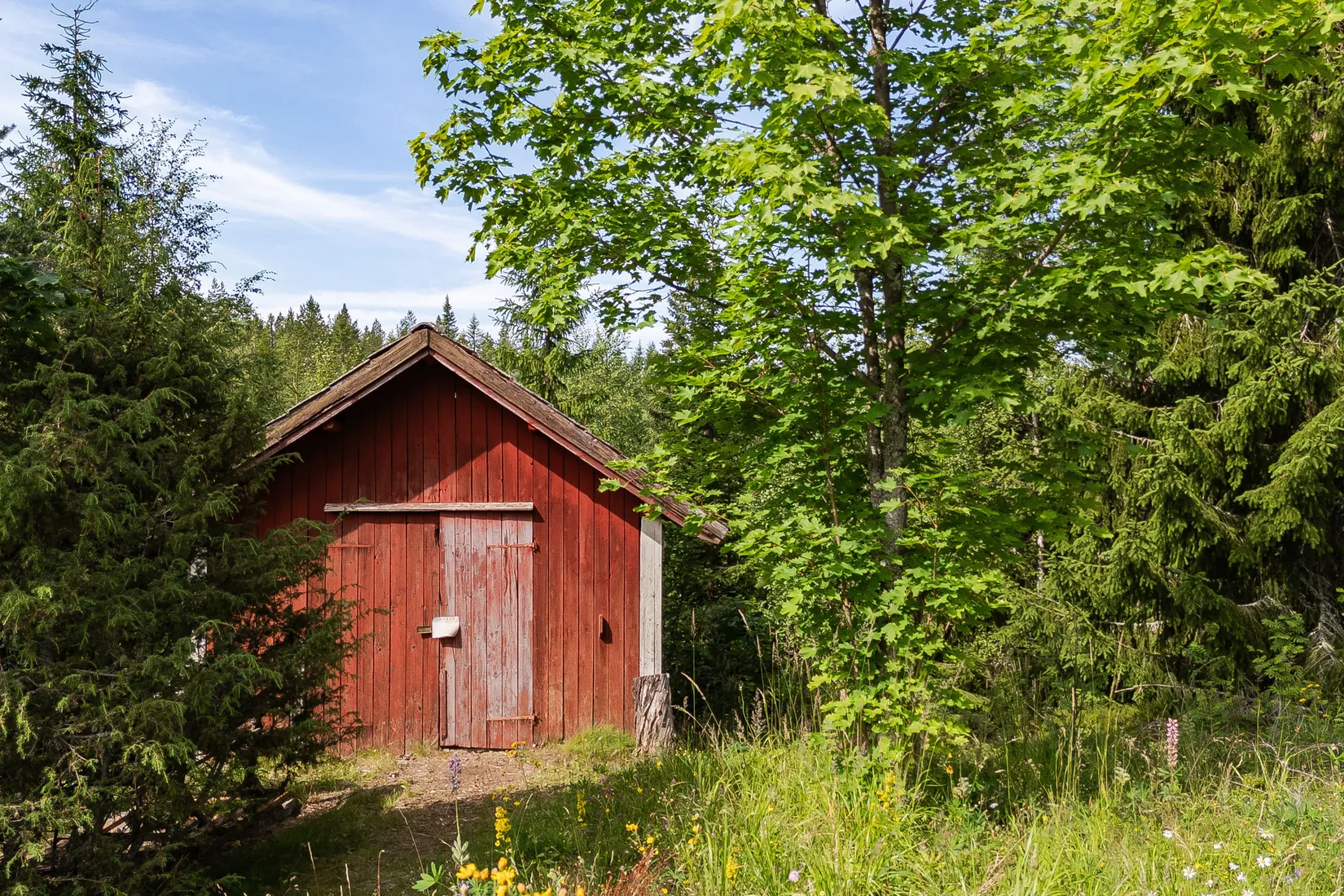 Gård/Skog, Ål-Vargberget 1, Leksand