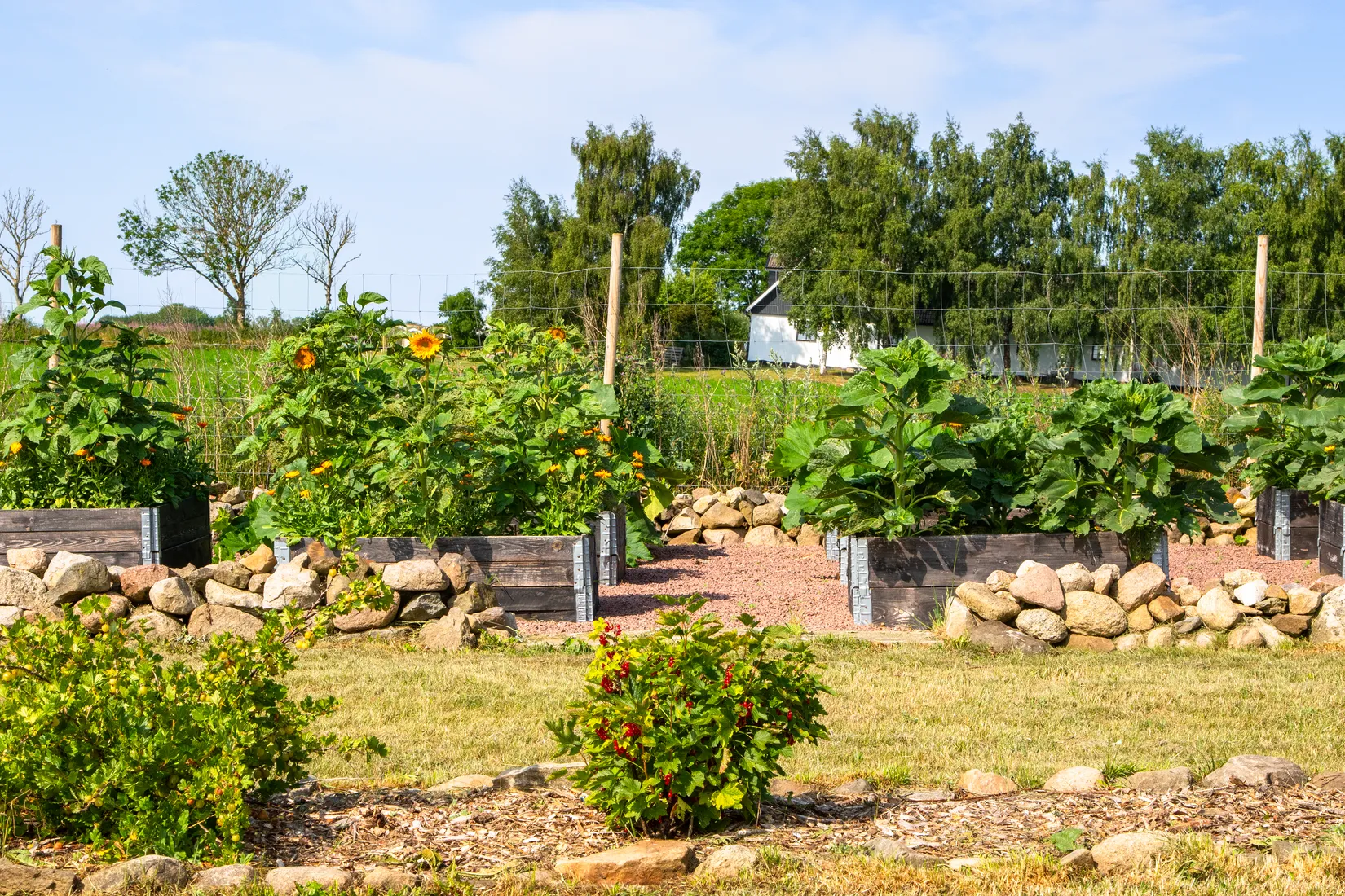 Gård/Skog, Vemmerlövstorpsvägen 71, Komstad, Simrishamn