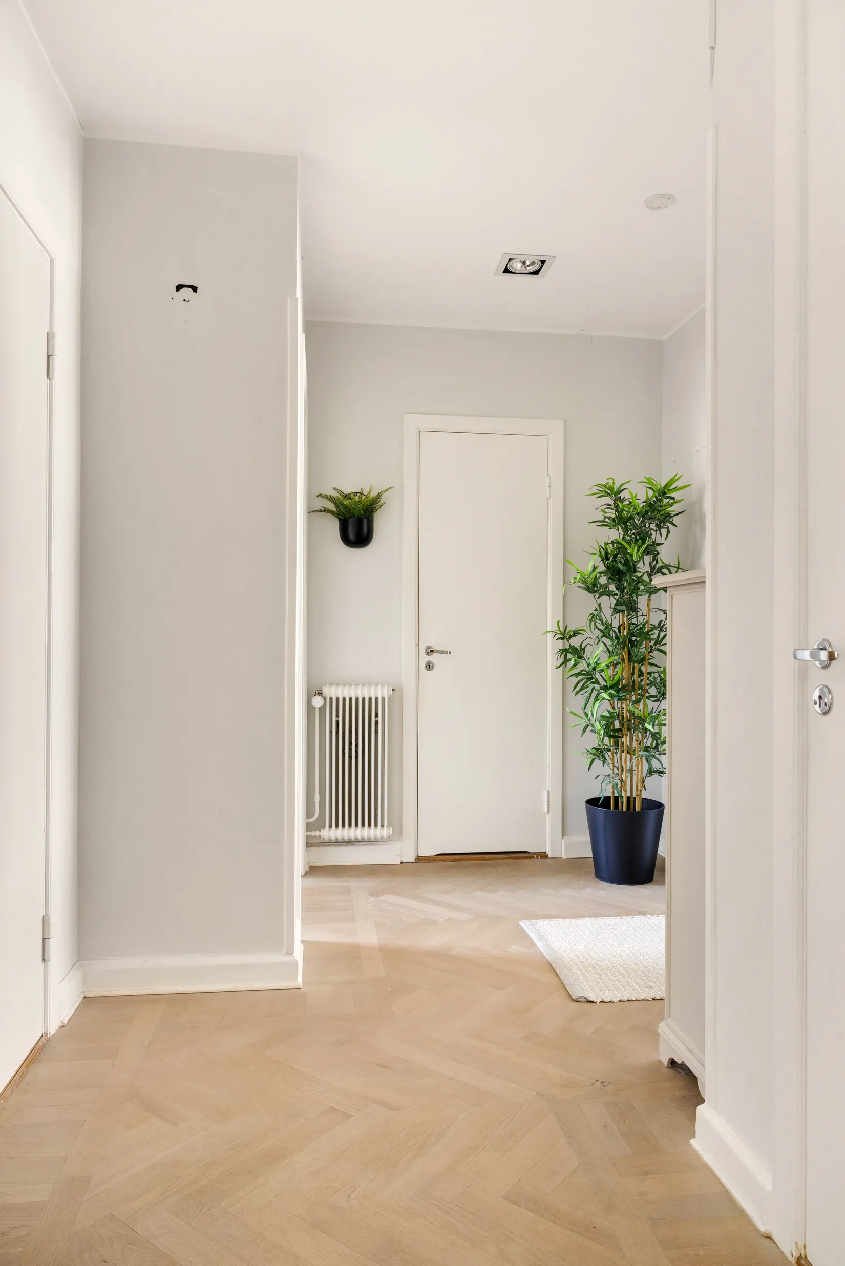 Bostadsrätt, Gustaf Rydbergsgatan 14B, Ribersborg, Malmö