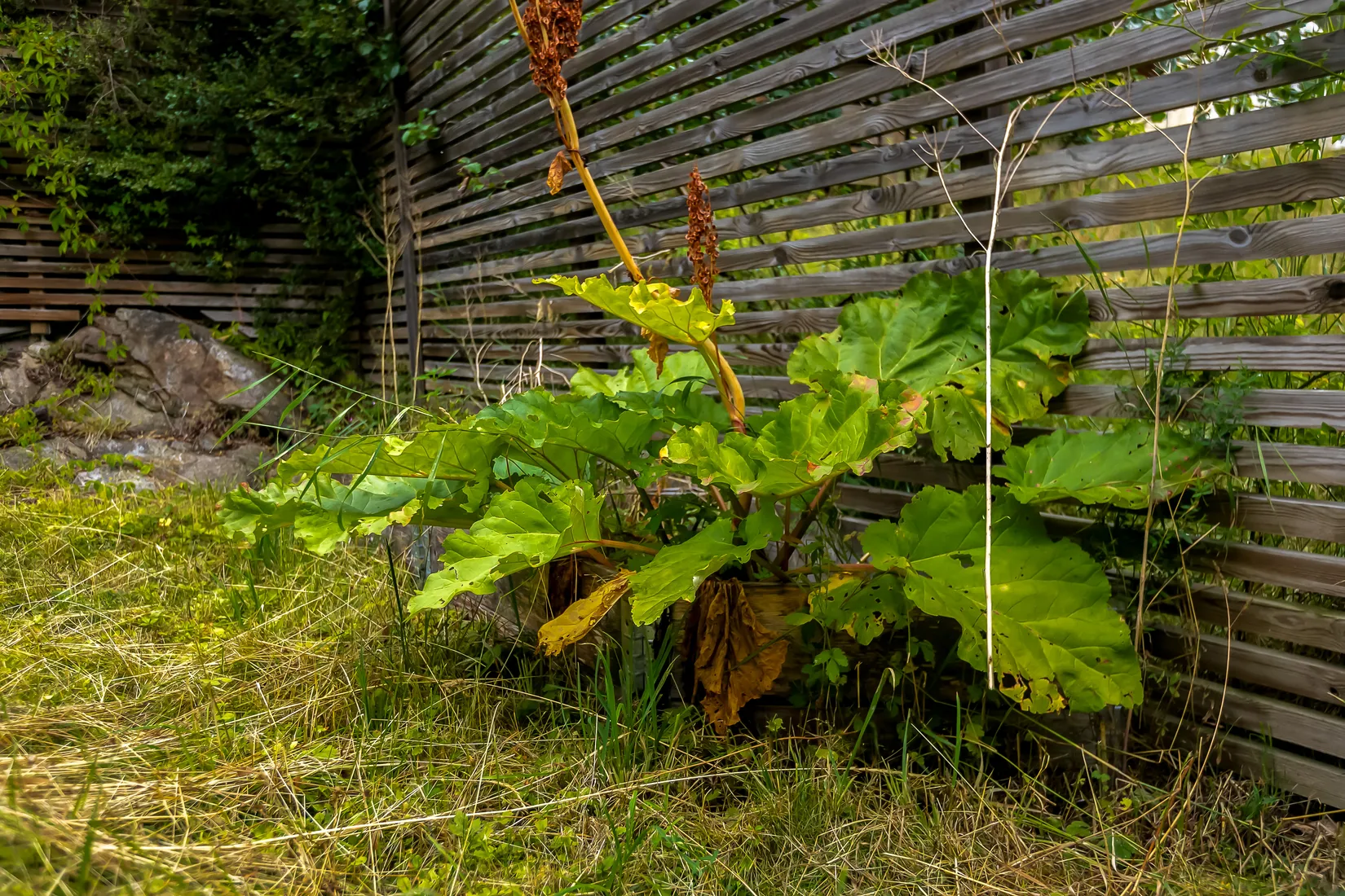Radhus, Altvägen 33, Skogås, Huddinge