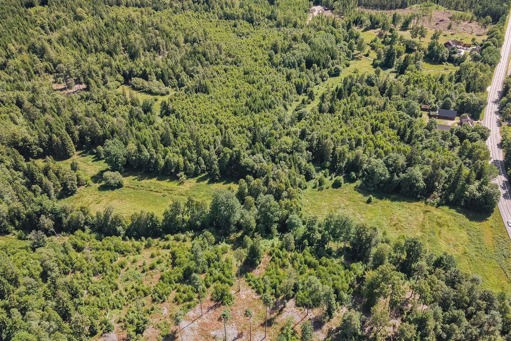 Gård/Skog, Lilla Vittsjö 556, Vittsjö, Hässleholm