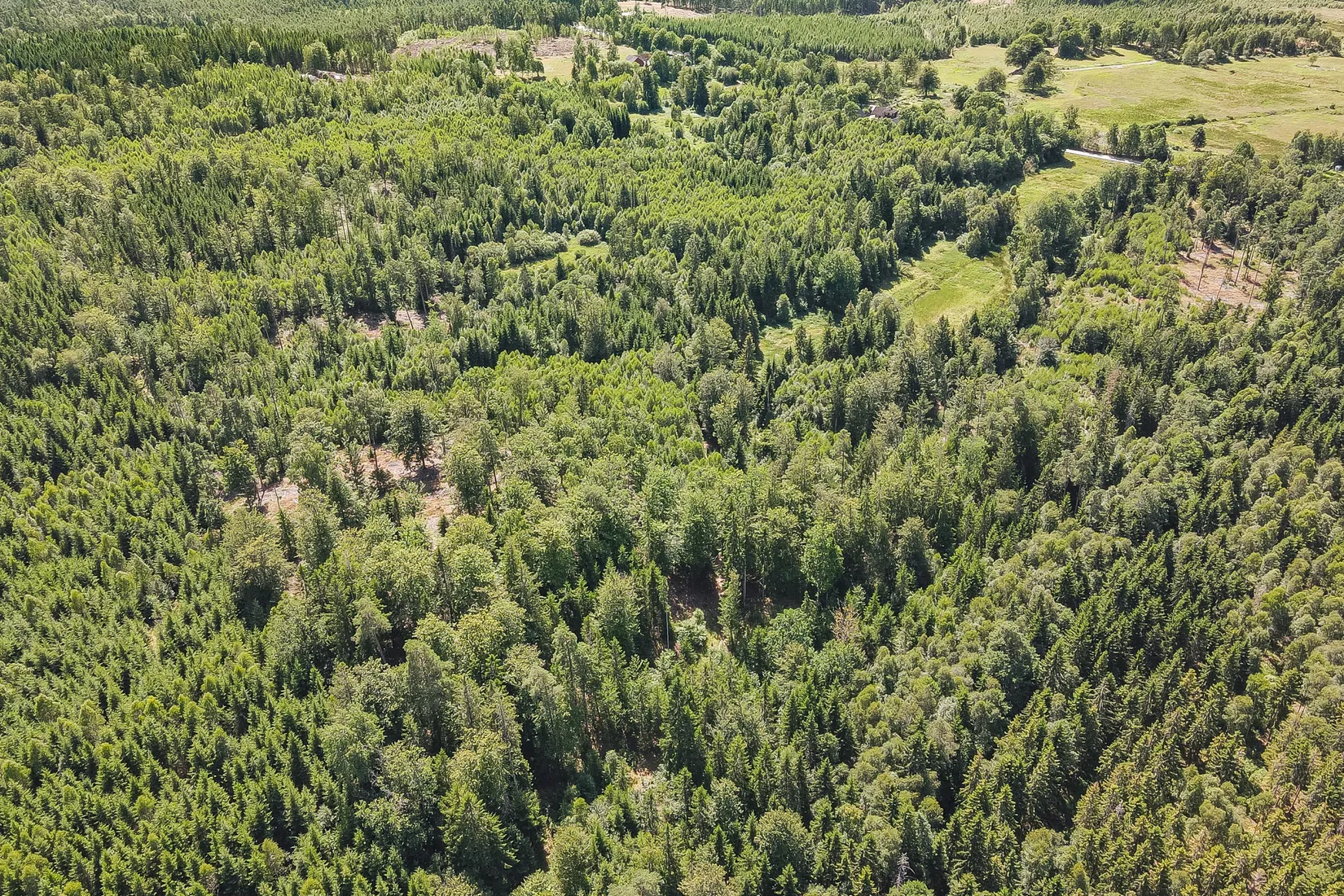 Gård/Skog, Lilla Vittsjö 556, Vittsjö, Hässleholm