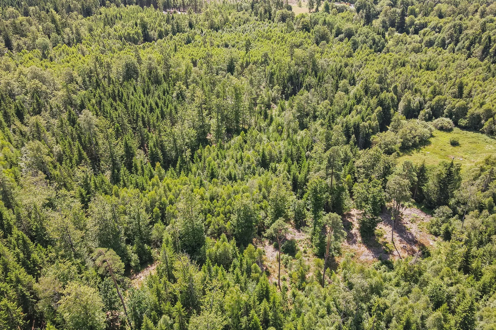 Gård/Skog, Lilla Vittsjö 556, Vittsjö, Hässleholm