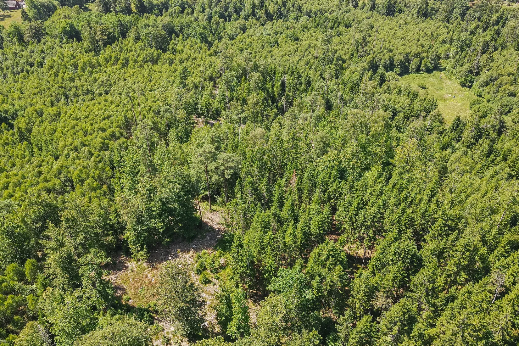 Gård/Skog, Lilla Vittsjö 556, Vittsjö, Hässleholm