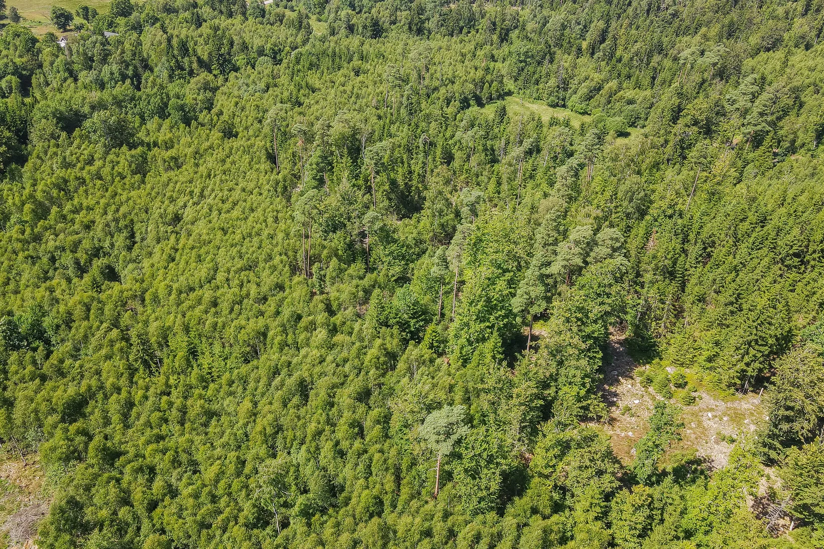 Gård/Skog, Lilla Vittsjö 556, Vittsjö, Hässleholm
