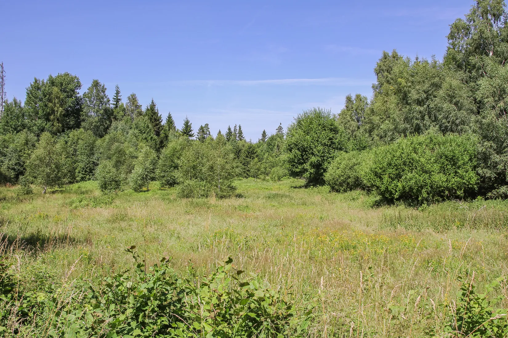 Gård/Skog, Lilla Vittsjö 556, Vittsjö, Hässleholm