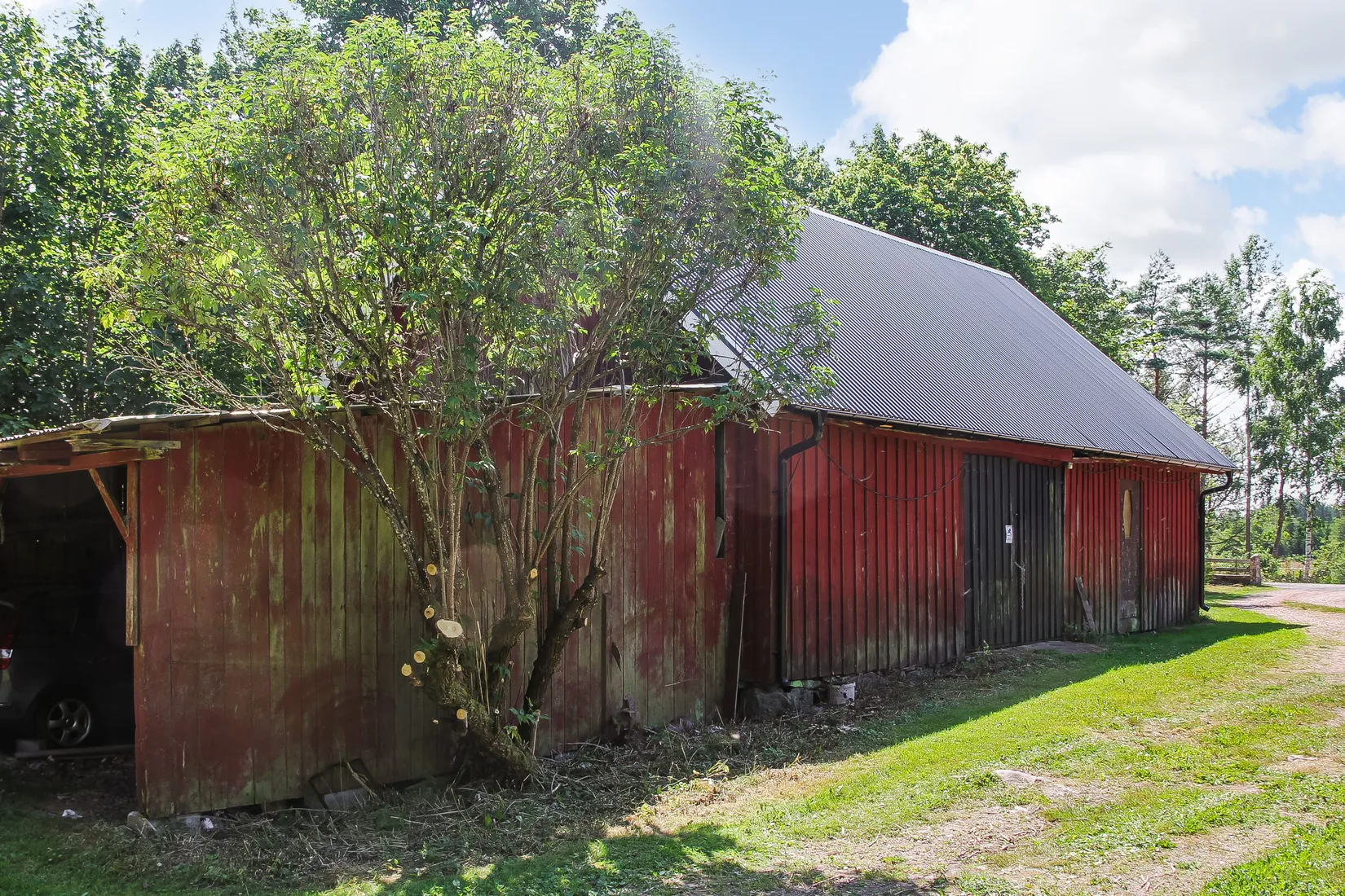 Gård/Skog, Lilla Vittsjö 556, Vittsjö, Hässleholm