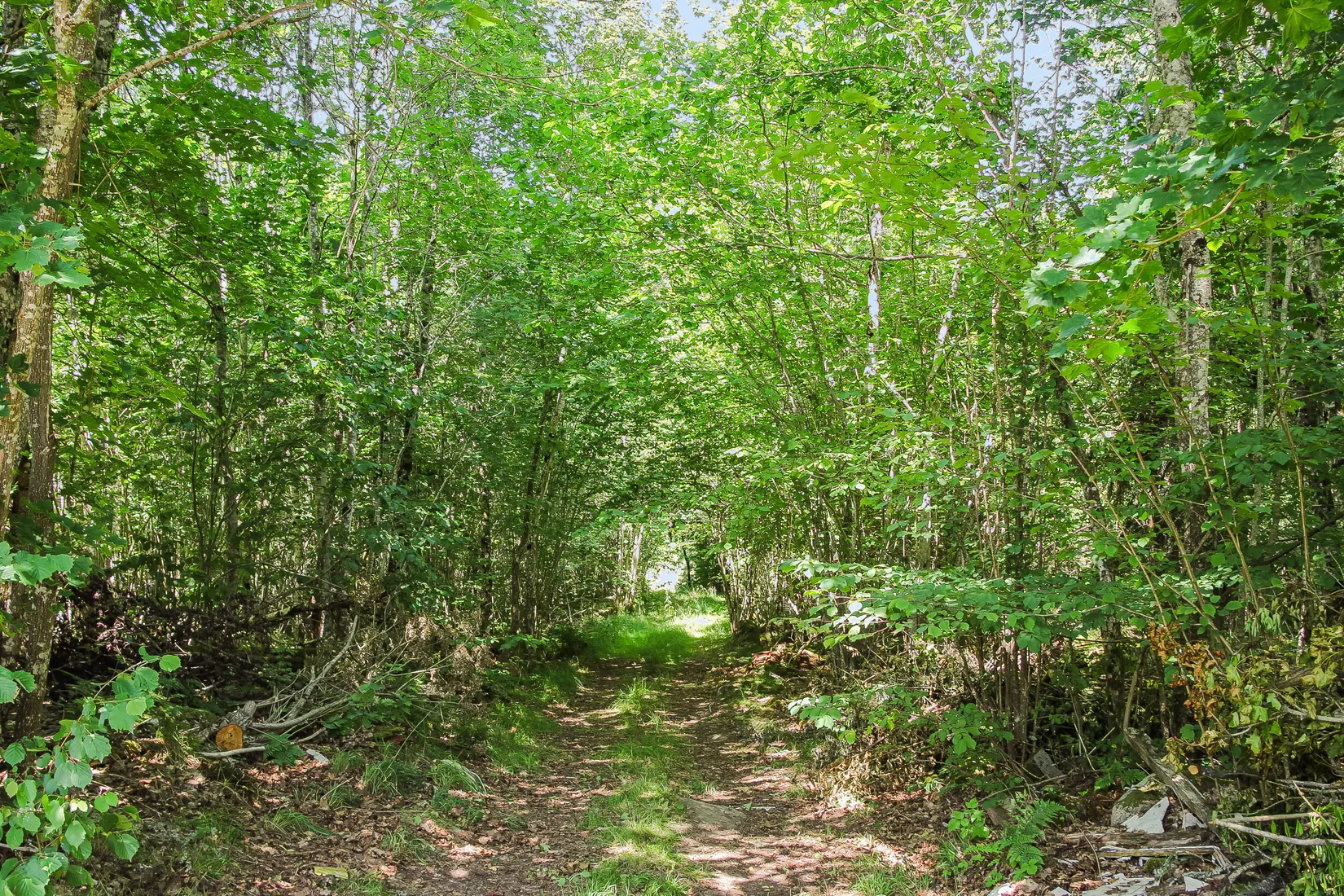 Gård/Skog, Lilla Vittsjö 556, Vittsjö, Hässleholm
