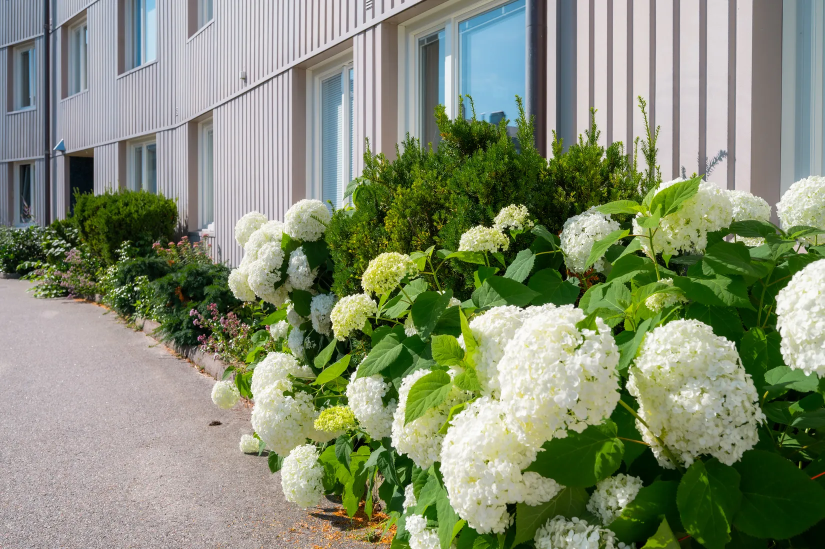 Bostadsrätt, Östra Bergsgatan 24E, Östra Bergen, Nyköping