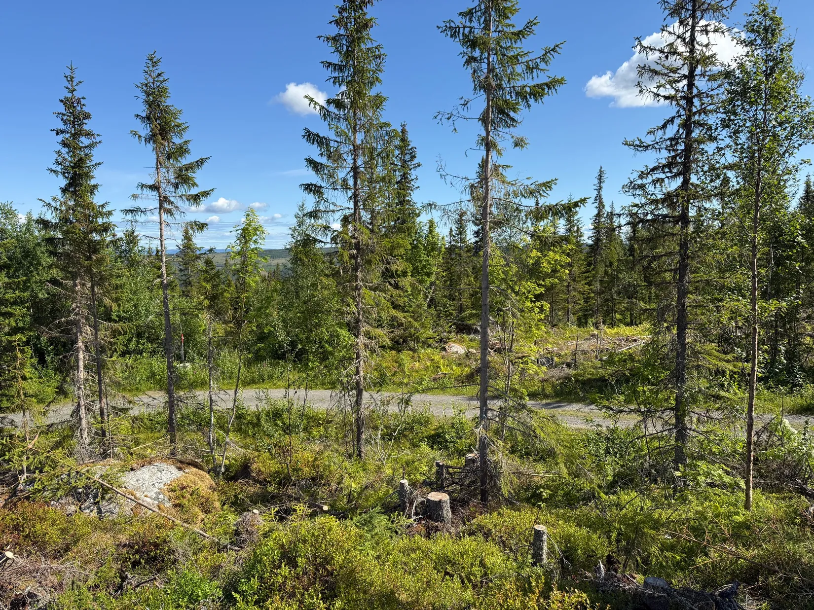Tomt, Arvesund 2:205, Mårdsundsbodarna, Åre