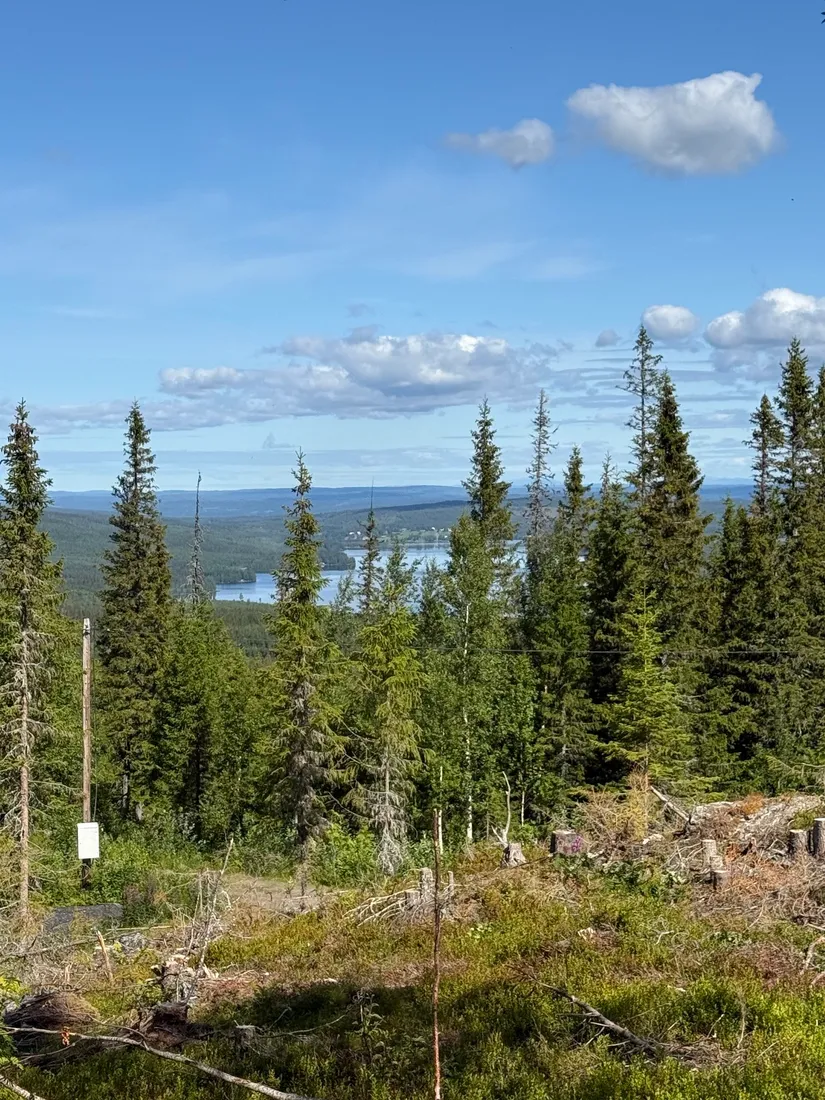 Tomt, Arvesund 2:205, Mårdsundsbodarna, Åre