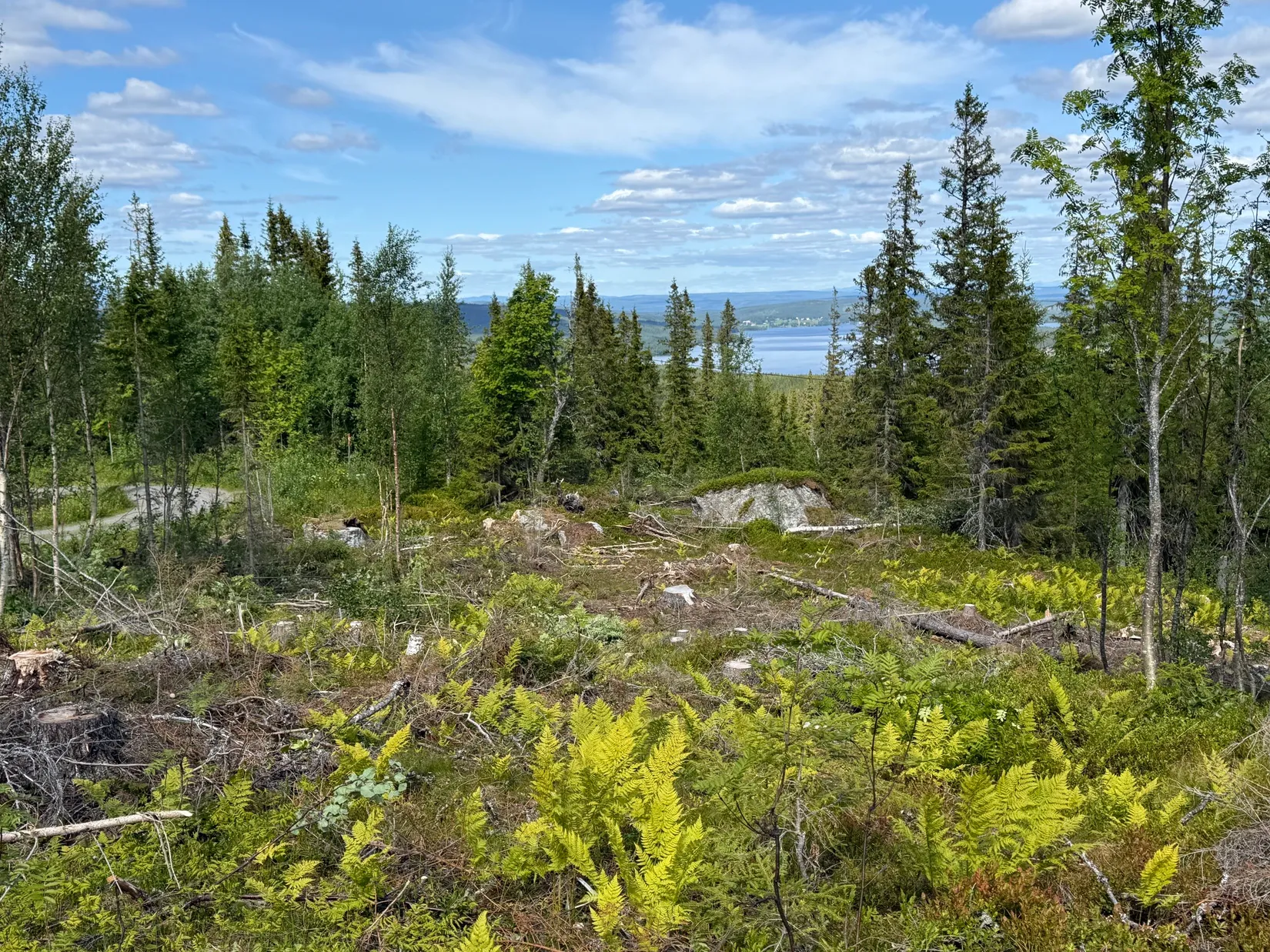 Tomt, Arvesund 2:210, Mårdsundsbodarna, Åre