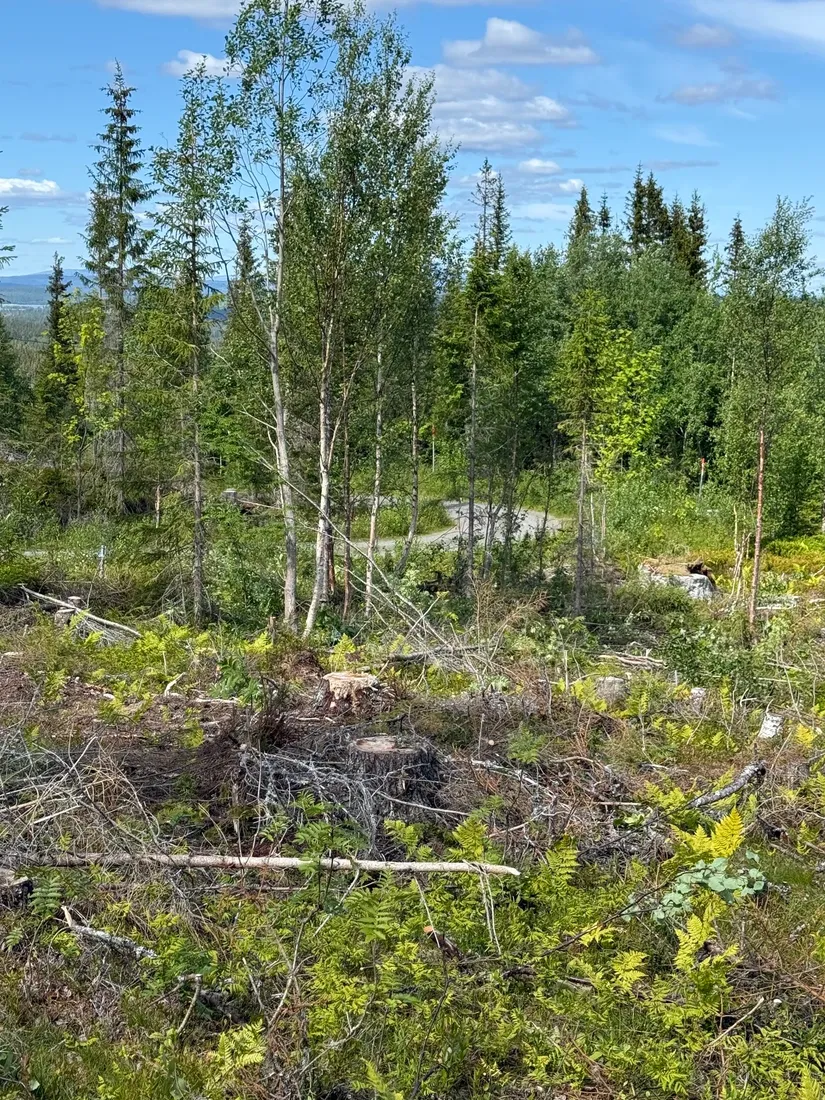 Tomt, Arvesund 2:210, Mårdsundsbodarna, Åre