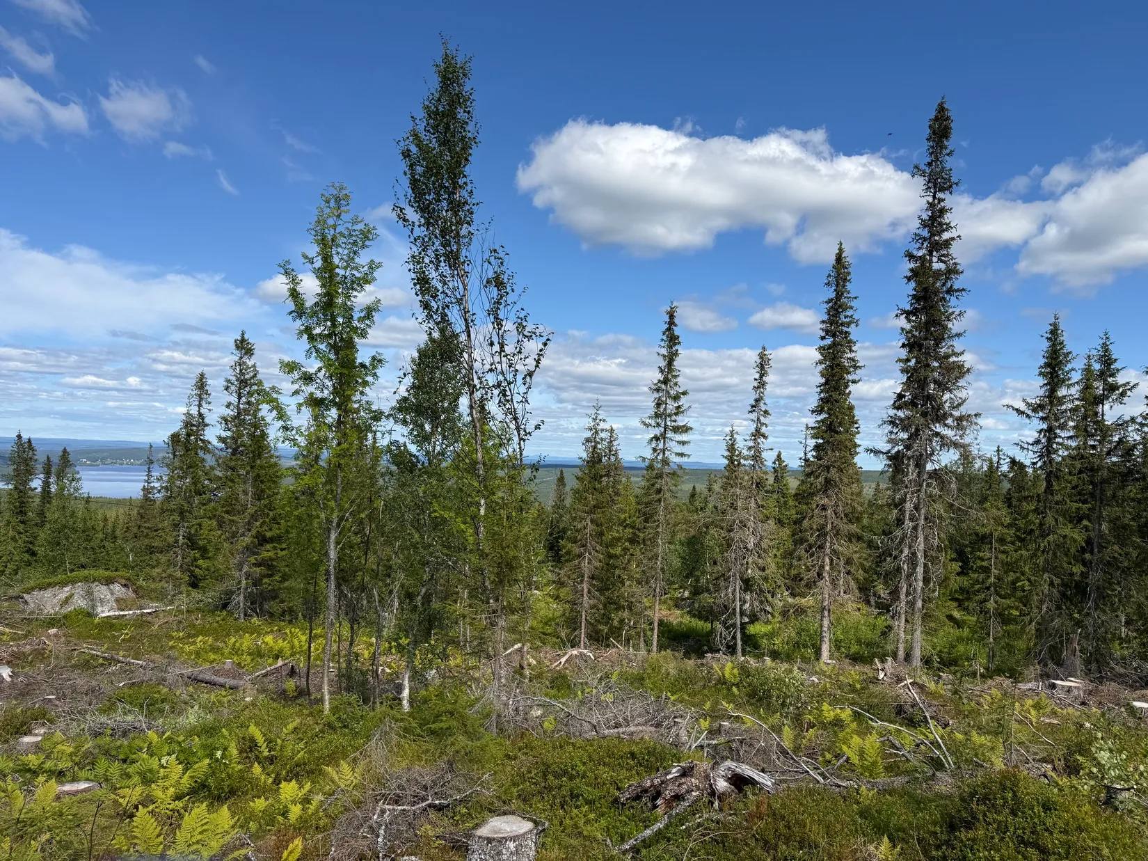 Tomt, Arvesund 2:210, Mårdsundsbodarna, Åre