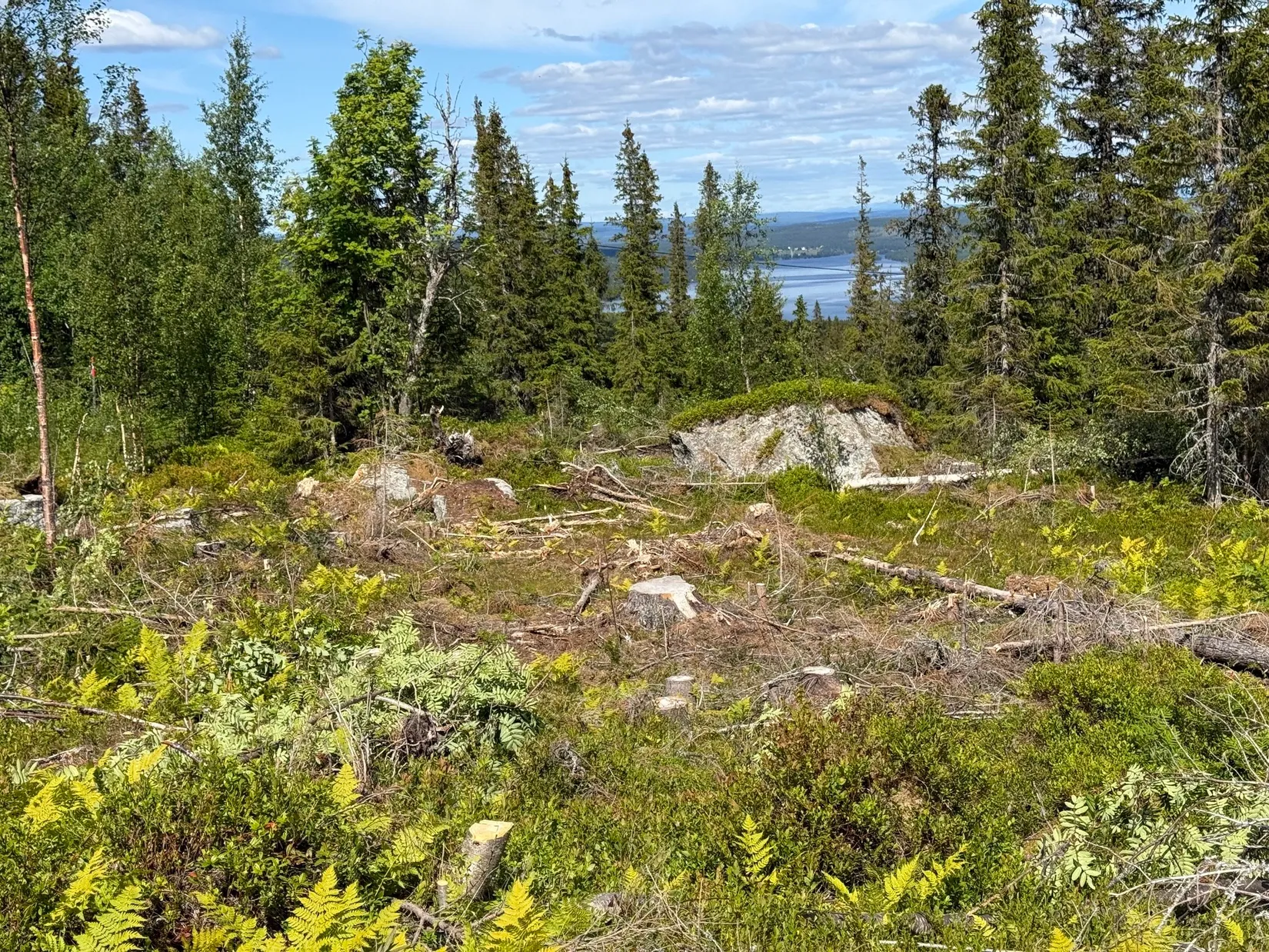 Tomt, Arvesund 2:210, Mårdsundsbodarna, Åre