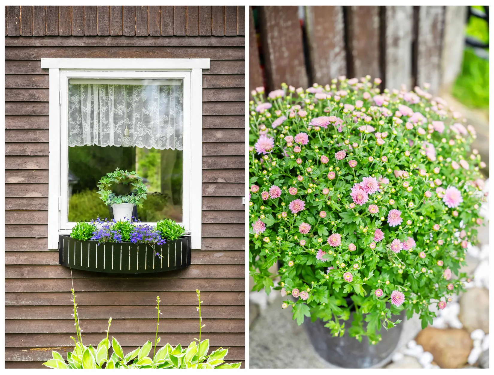 Fritidshus, Svedjansvägen 2, Bergeforsen, Timrå