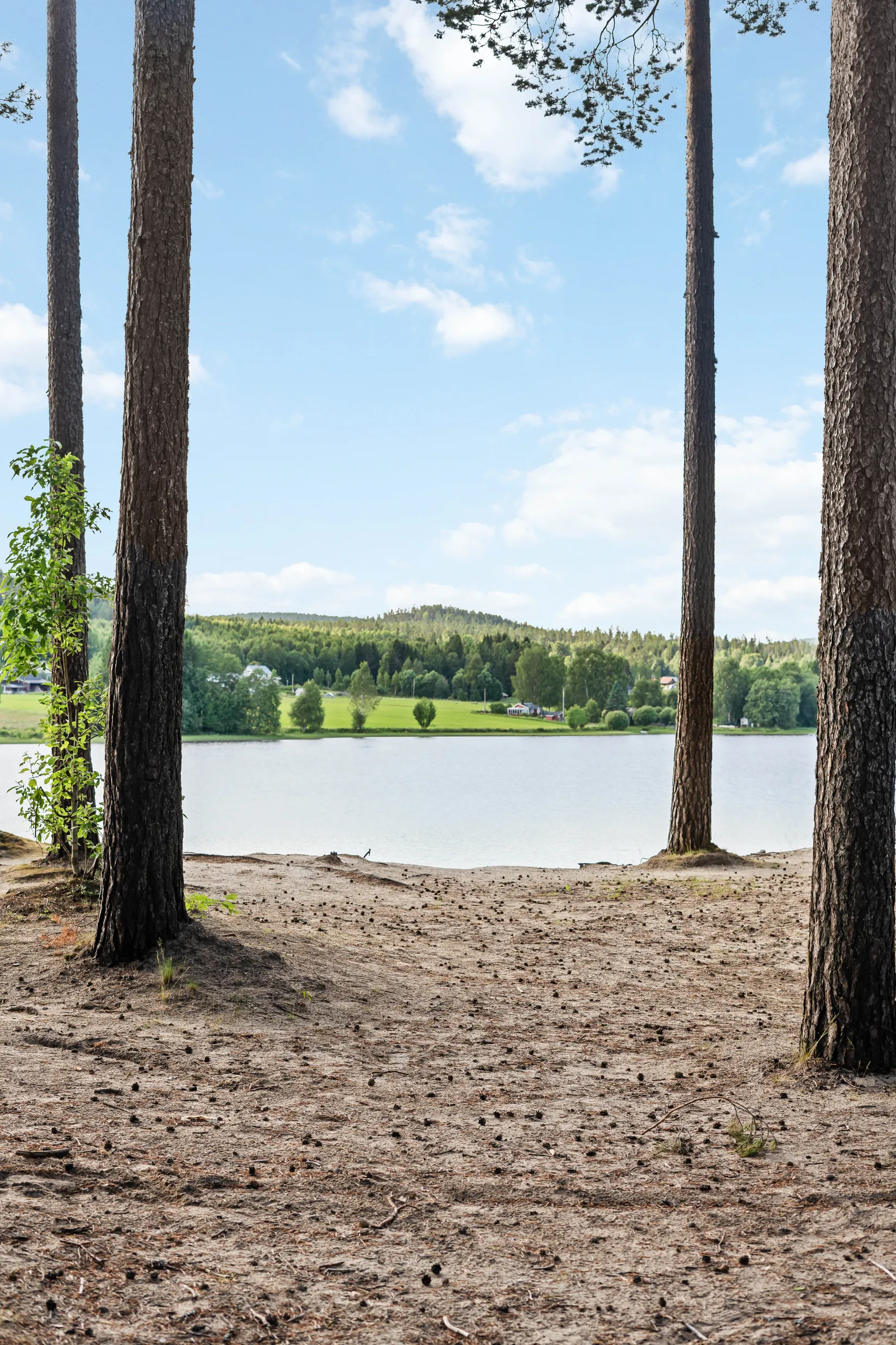 Fritidshus, Svedjansvägen 2, Bergeforsen, Timrå